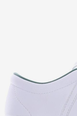 K-SWISS Sneakers & Trainers in 38 in White