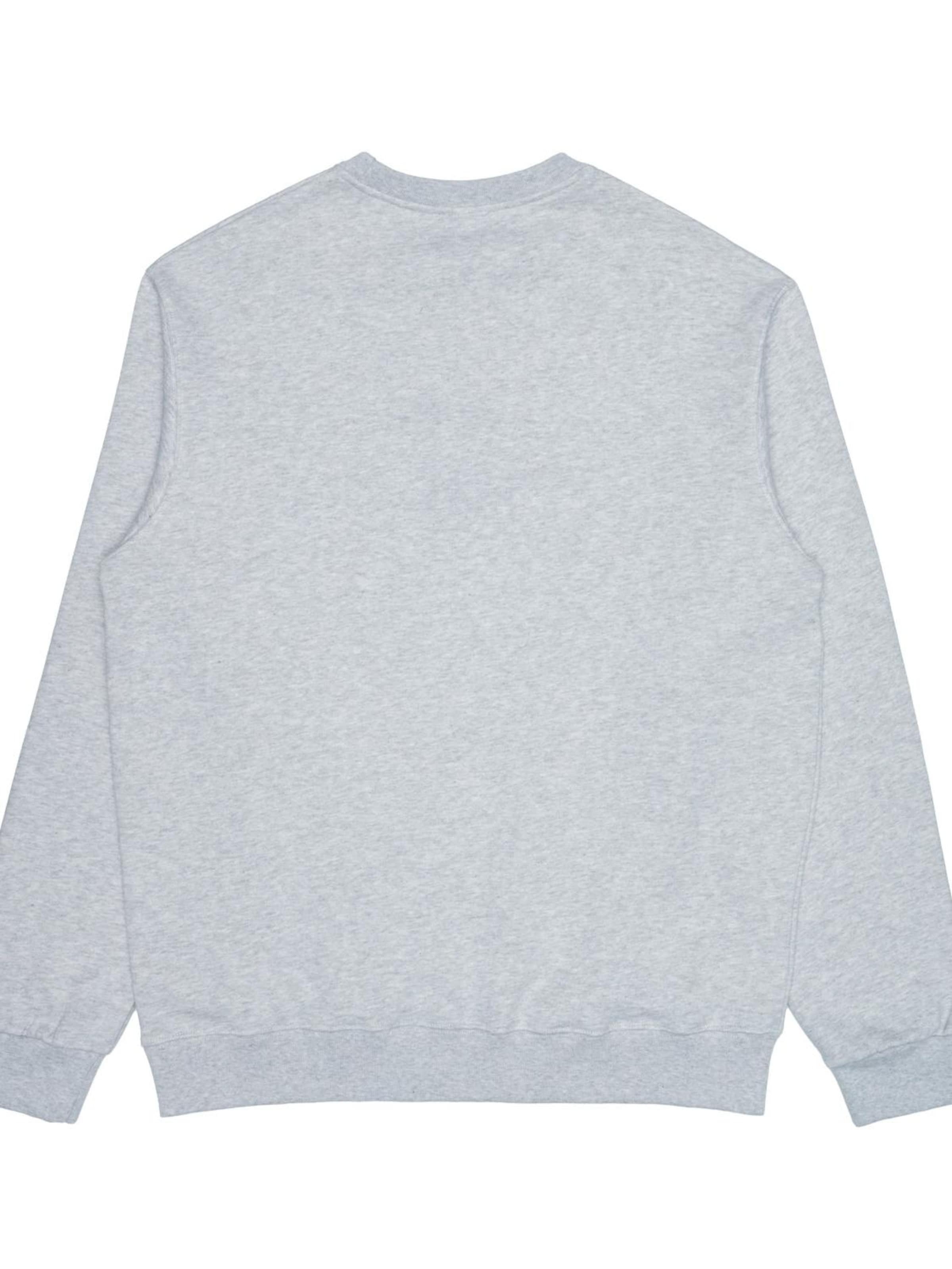 Felpa di Iriedaily in grigio