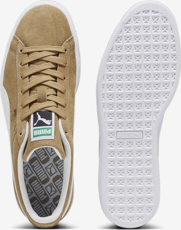 Baskets basses 'Classic XXI' PUMA en beige