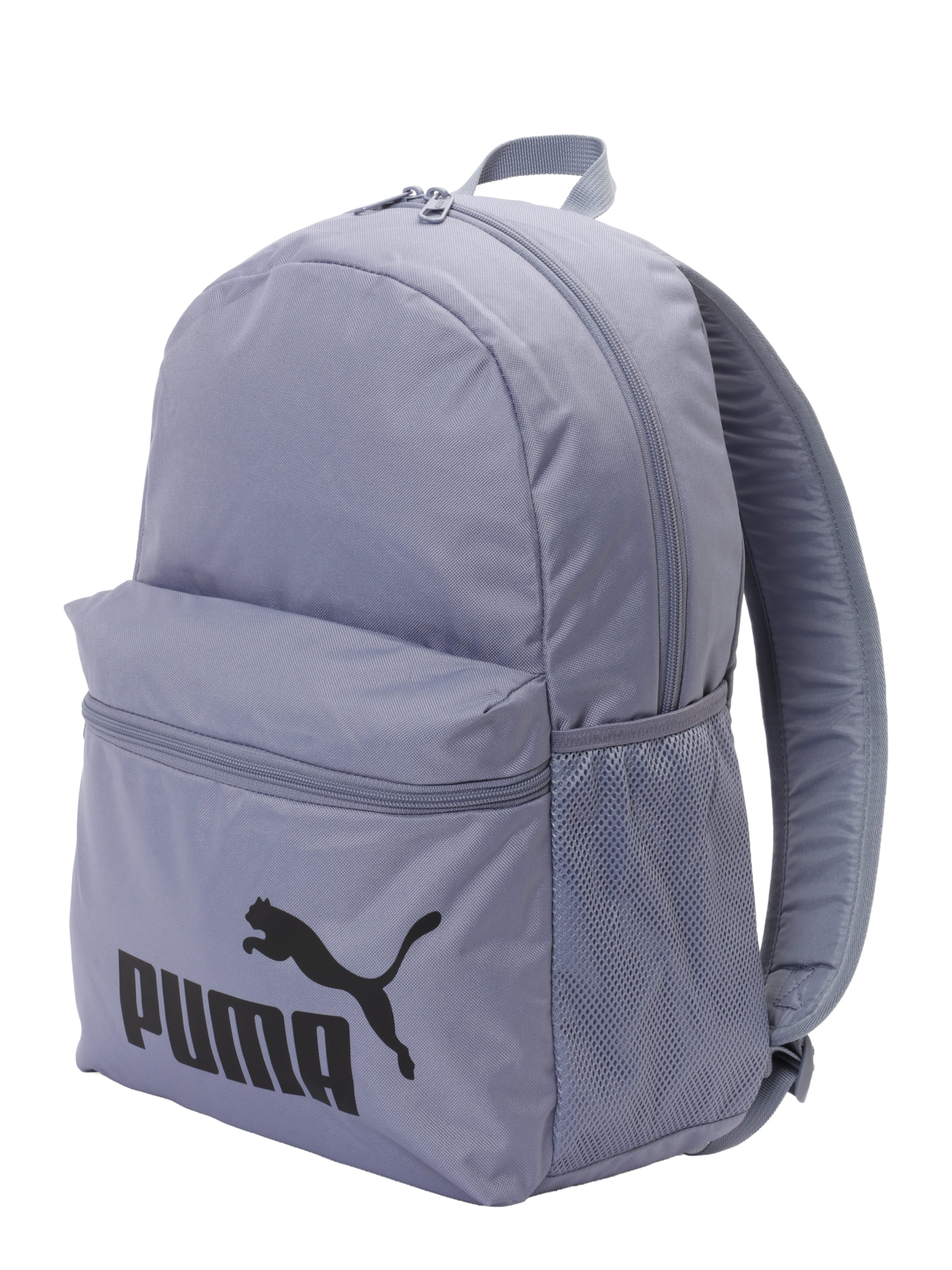 PUMA Rucksack 'PHASE' in Grau