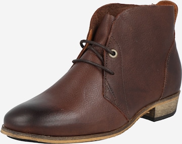 haghe by HUB Lace-Up Ankle Boots in Brown: front