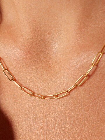 Lucardi Ketting in Goud