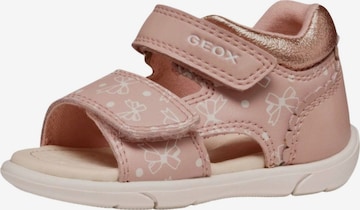 GEOX Sandale in Pink: Vorderseite