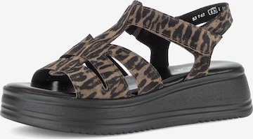 GABOR Sandaalit värissä ruskea: etupuoli