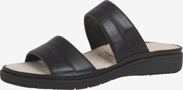 Ganter Mules in Black: front