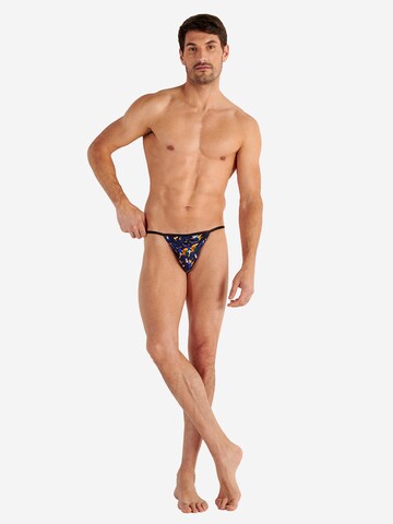 Slip ' Funky Styles ' HOM en mélange de couleurs