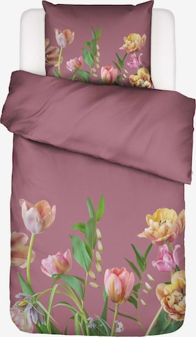 ESSENZA Bettwäsche 'Eloise' in Lila: Vorderseite