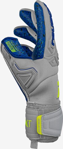 REUSCH Handschuhe 'Attrakt Freegel Fusion Goaliator' in Grau