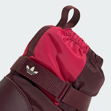 ADIDAS ORIGINALS Snowboots 'Superstar 360' i brun
