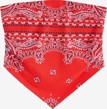 Next Top in Rot: Vorderseite