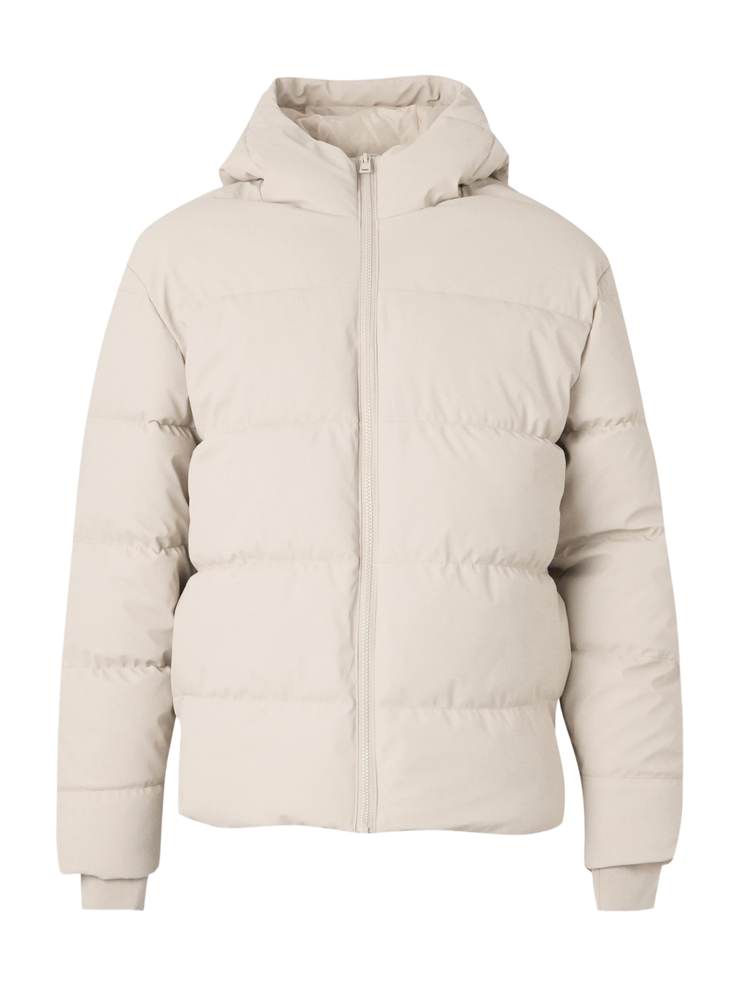 Only & Sons Vinterjacka 'ONSMICHAEL' i ljusgrå, Produktvy