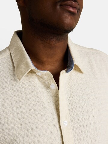 TOM TAILOR Men + Regular Fit Hemd in Weiß