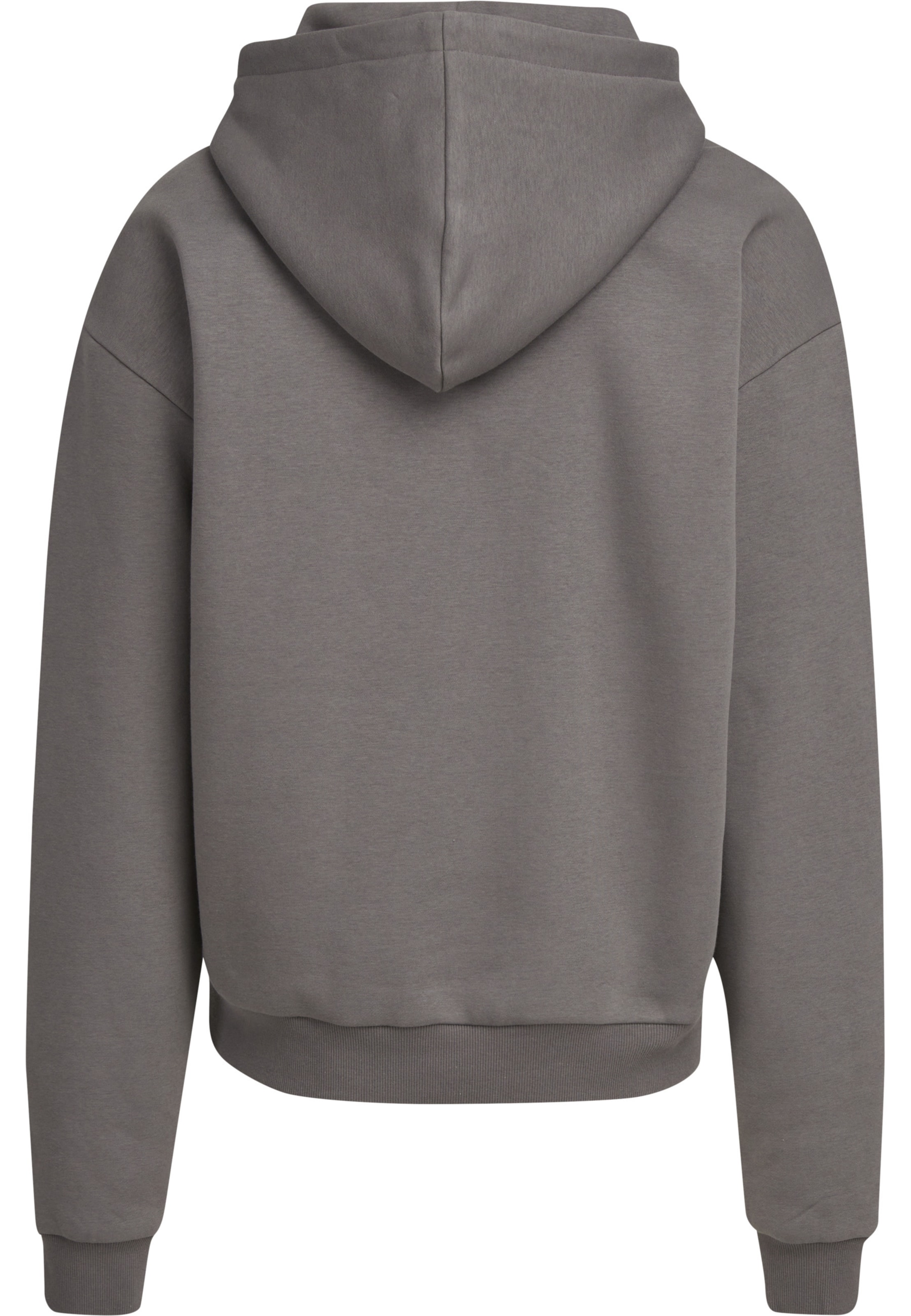 Felpa di Urban Classics in grigio