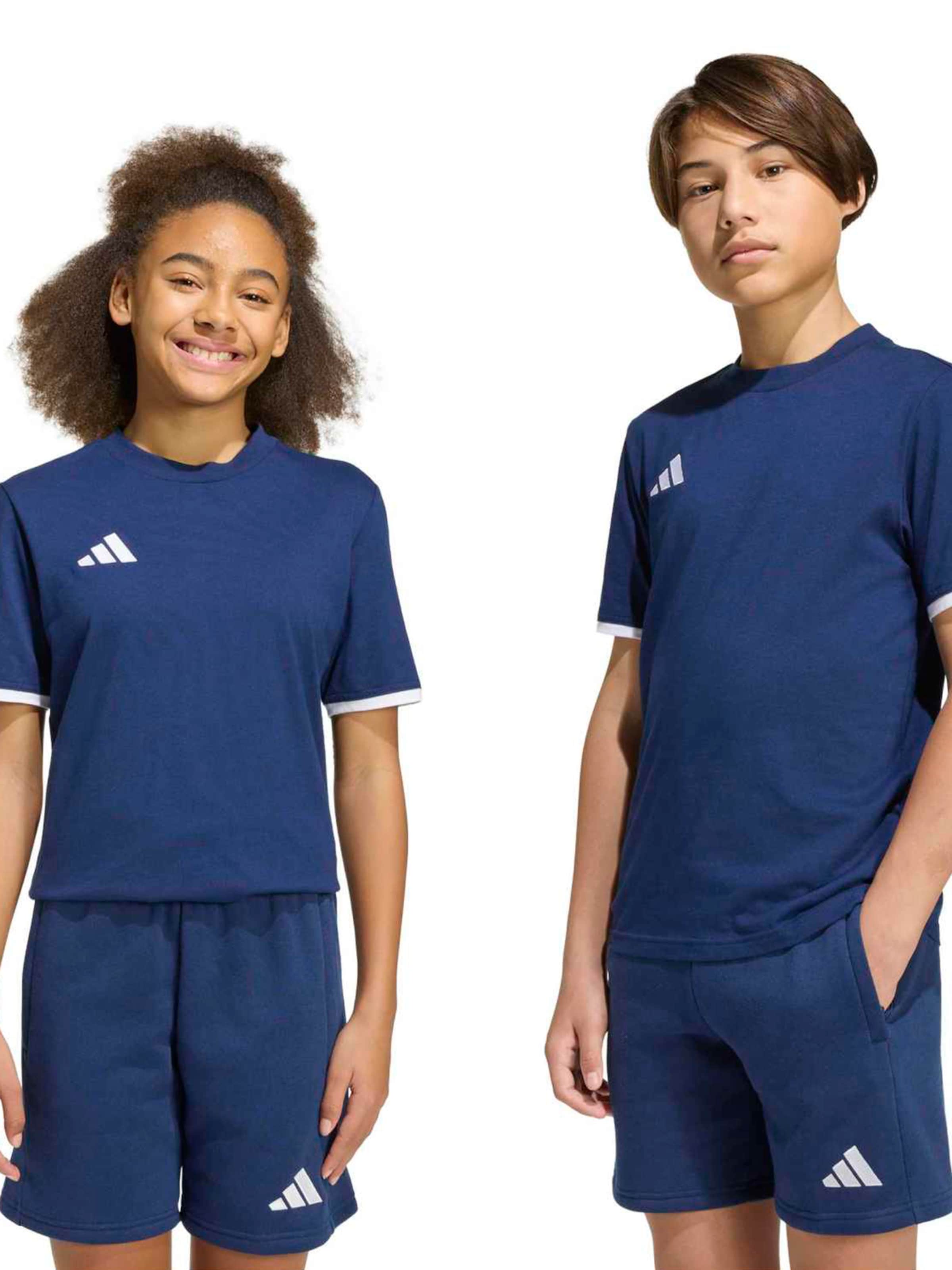 ADIDAS PERFORMANCE Performance Shirt 'ENT26' in Blue