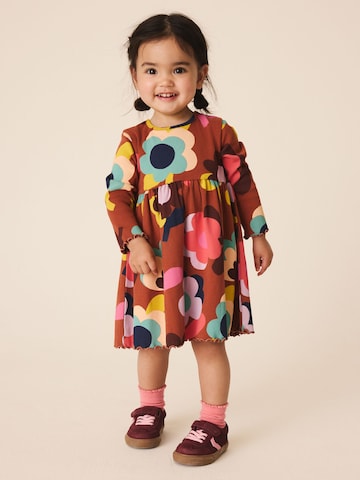 Robe Next en marron : devant
