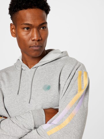 ADIDAS PERFORMANCE Sport sweatshirt i grå