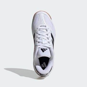 Chaussure de sport 'Ligra 8' ADIDAS PERFORMANCE en blanc