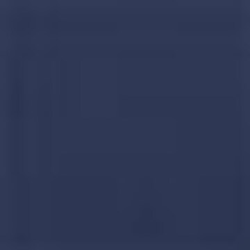 BENCH Sweatshirt in Blau