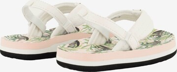 REEF Sandals 'Little Ahi' in White