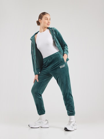 DKNY Performance Конический (Tapered) Спортивные штаны в Зеленый