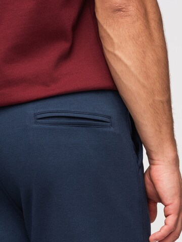 Ombre Regular Pants in Blue