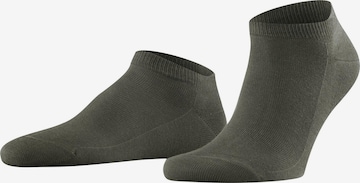 FALKE Socks 'Family' in Green: front