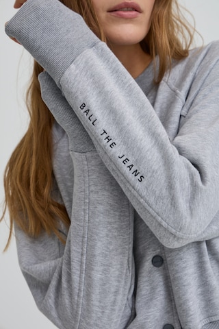 Ball Zip-Up Hoodie 'ALBERTA' in Grey