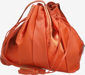 Gave Lux Pouch in Orange: front
