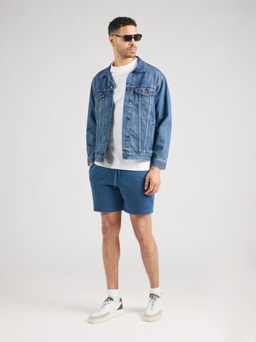 HOLLISTER Обычный Штаны в Синий