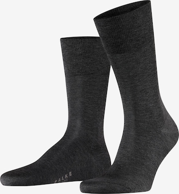 FALKE Socks 'Tiago' in Grey: front