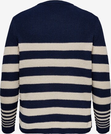 ONLY Carmakoma Sweater 'Luc' in Blue