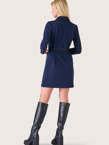 Camomilla Jurk in Blauw