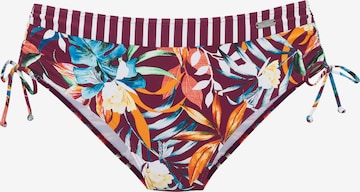 VENICE BEACHBikini donji dio - crvena boja: prednji dio
