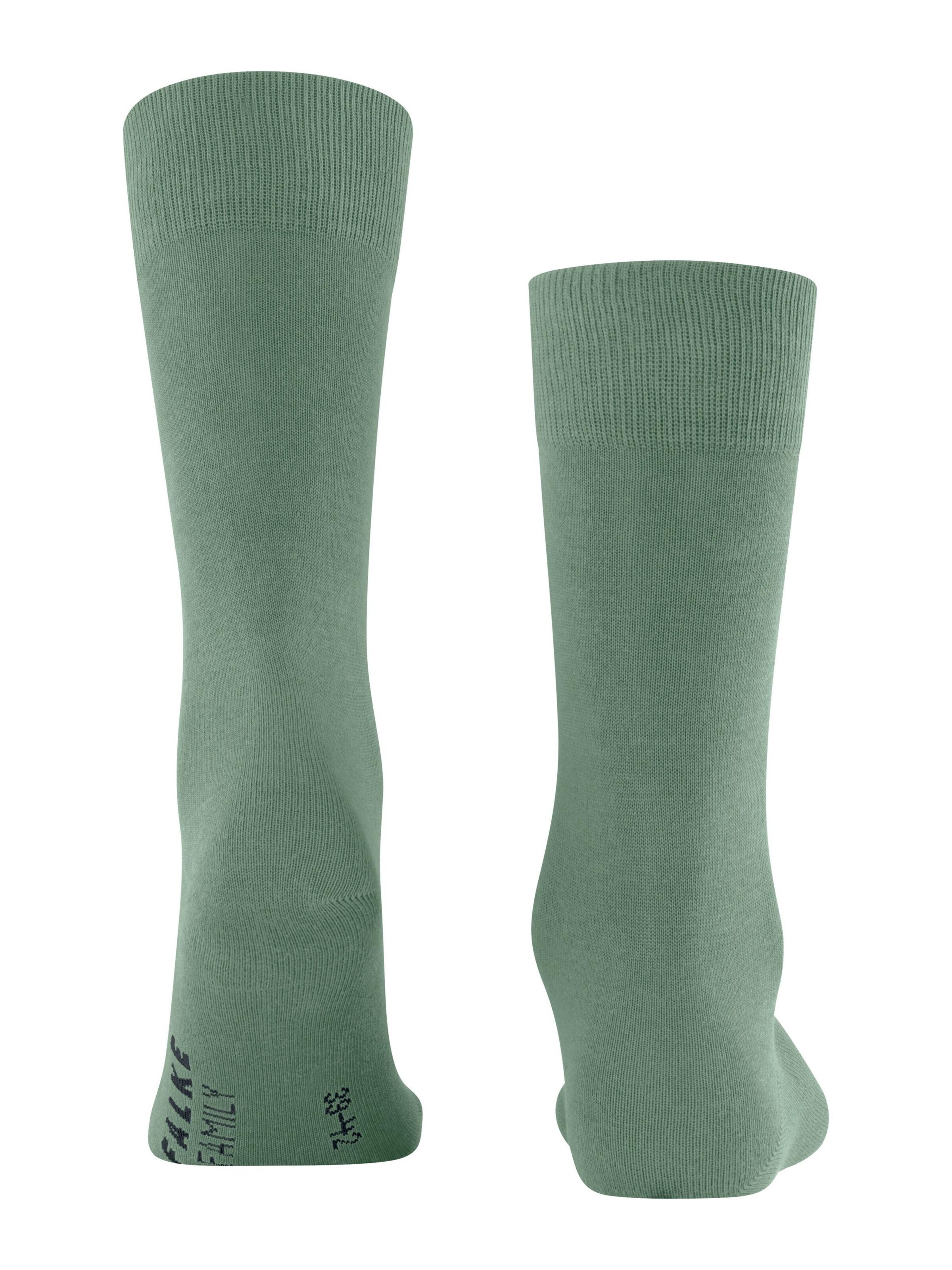 FALKE Socks 'Family' in Green