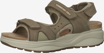 IMAC Hiking Sandals in Brown: front