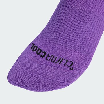ADIDAS SPORTSWEAR Športne nogavice 'Adidas x Jeremy Scott Pride' | vijolična barva