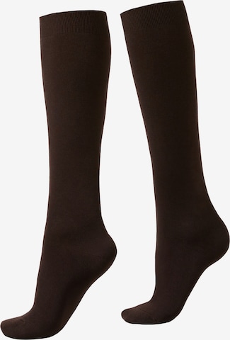 CALZEDONIA Socks in Brown: front