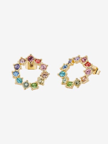 Ted Baker Earrings 'CRESINA' in Gold