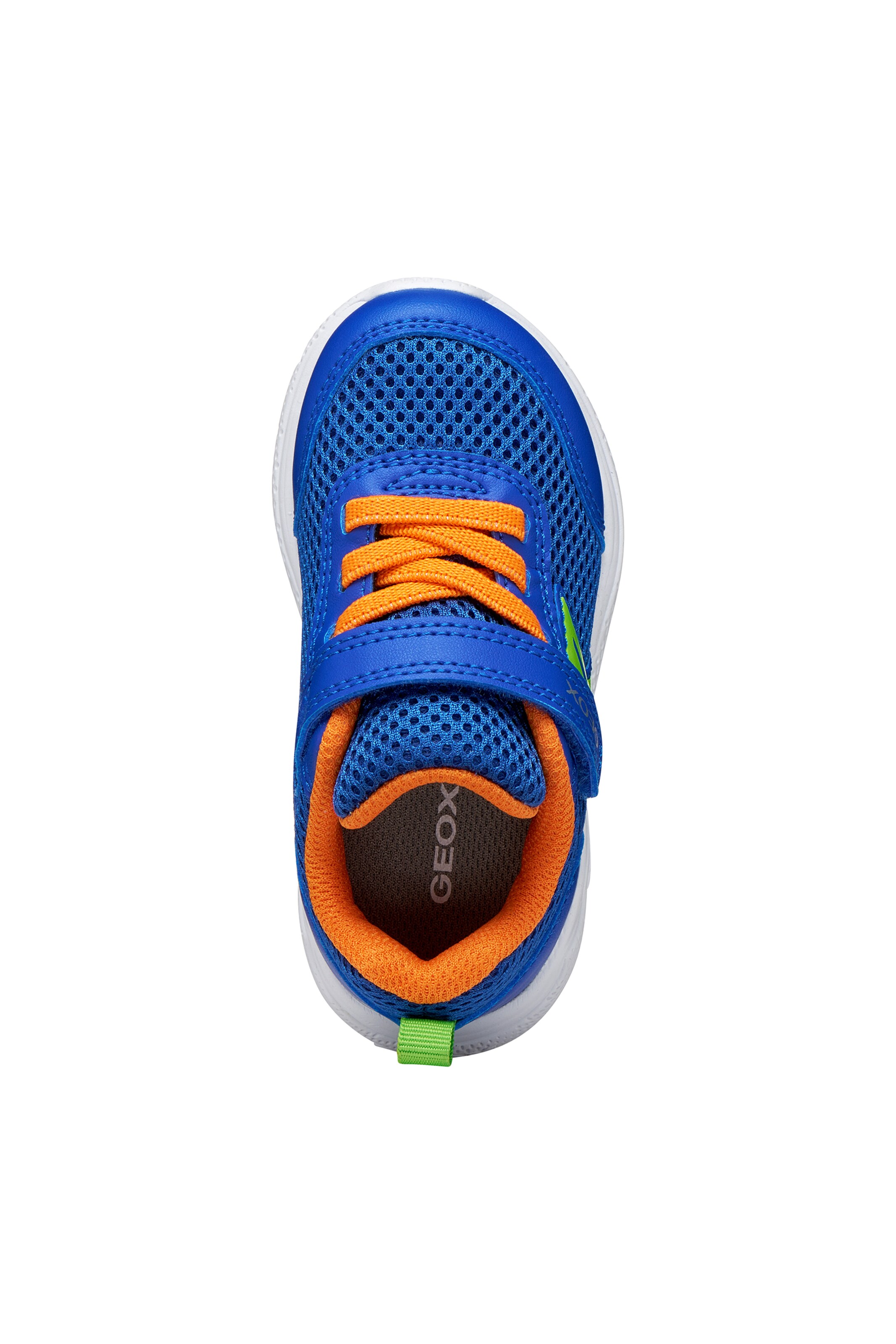 GEOX Sneakers in Blue