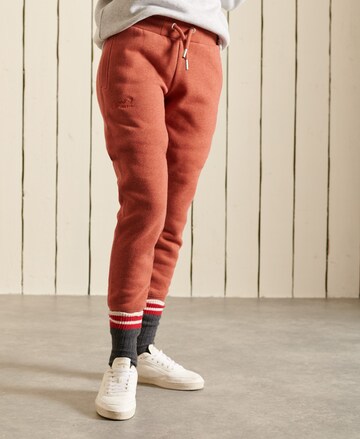 Superdry Tapered Broek in Rood: voorkant