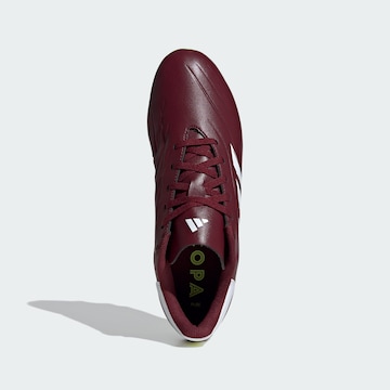 ADIDAS PERFORMANCE Обувь для футбола 'Copa Pure II Club' в Красный