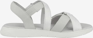 GEOX Sandals 'Dandra' in White