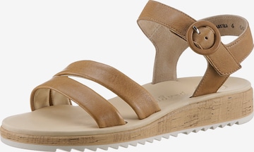 Paul Green Sandalen met riem in Bruin: voorkant