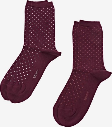 ESPRIT Socken in Rot: predná strana