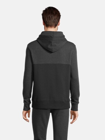 AÉROPOSTALE Sweatshirt 'HERITAGE' in Grey