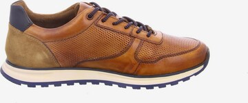 bugatti Sneakers in Brown