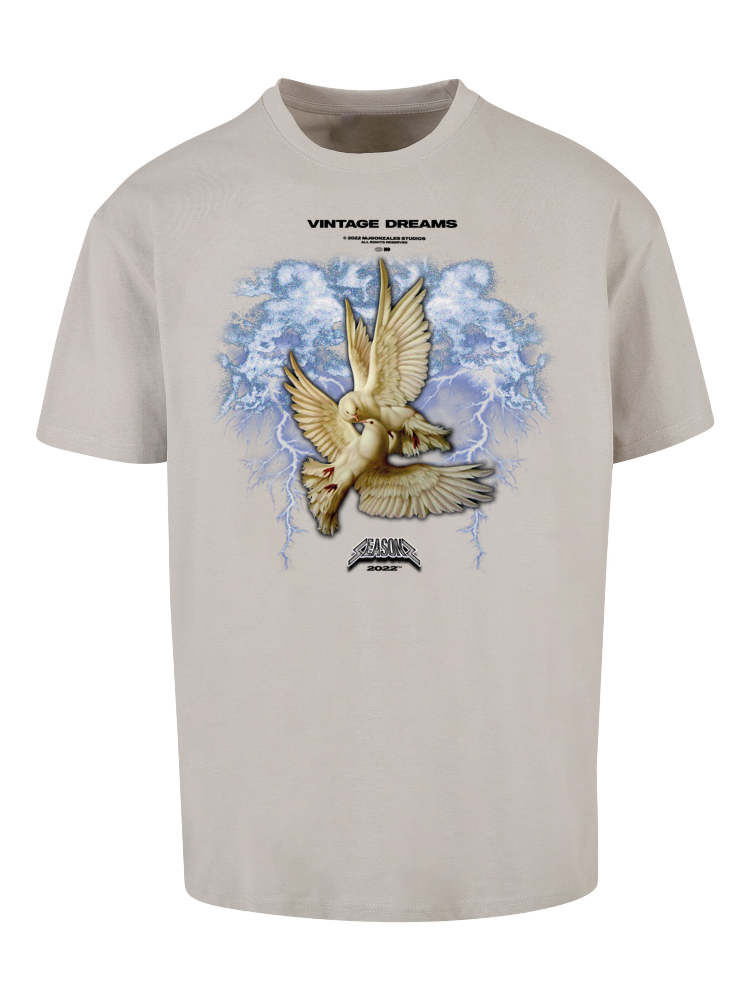 Maglietta 'Vintage Dreams' di MJ Gonzales in grigio: frontale