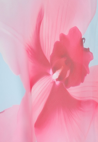 Usha - Saia em verde