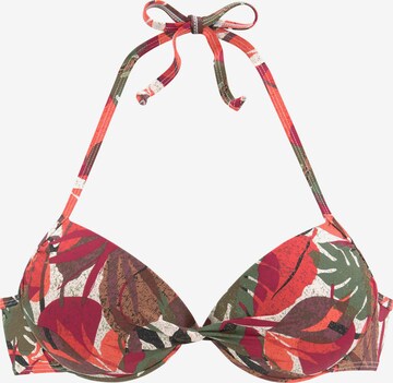 LASCANA Push-up Bikini Top in Mixed colors: front
