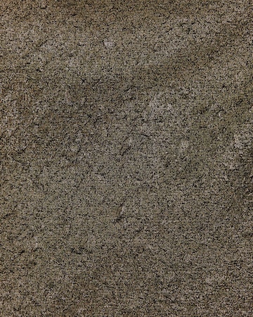 WE Fashion Krilo | bronasta barva